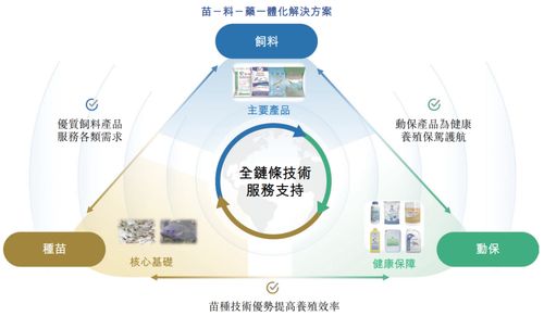 海大國際遞表港交所 分拆自海大集團，2024年凈利潤強勢翻倍